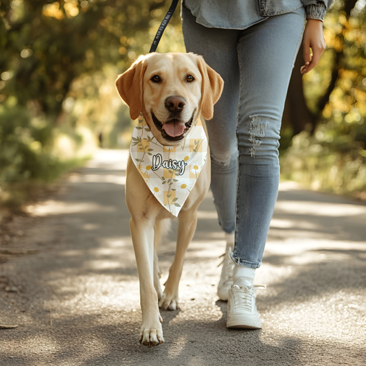 Fur Baby Daisy Bandana
