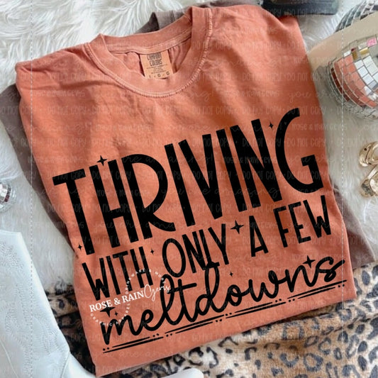 Thriving With Only A Few Meltdowns
