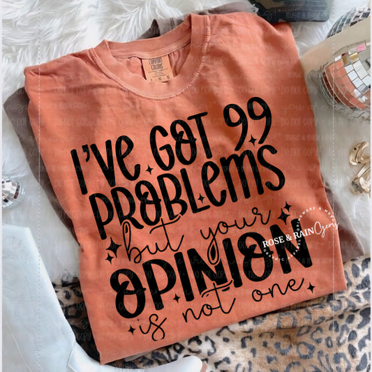 Your Opinion Is Not One