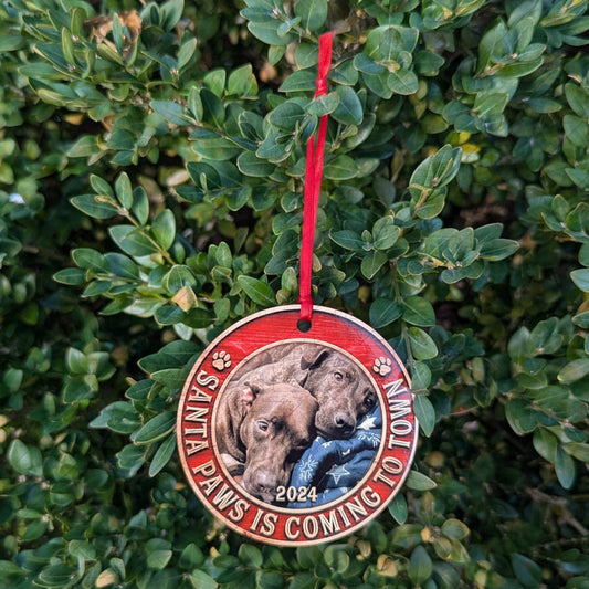 Santa Paws Ornament